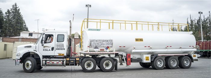 Imagen de mosaico 11